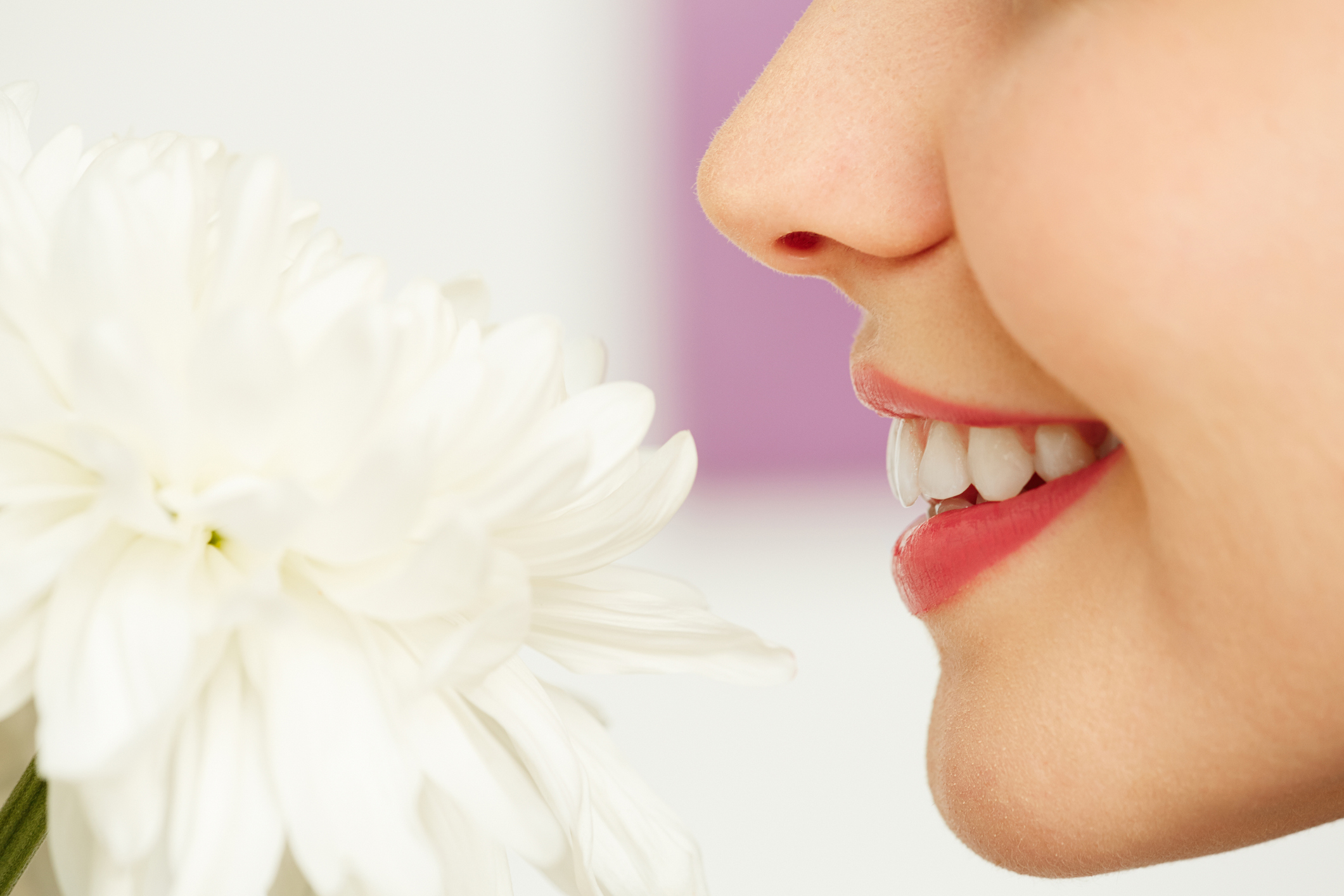 Young woman enjoying tender fragrance of white chrysanthemum