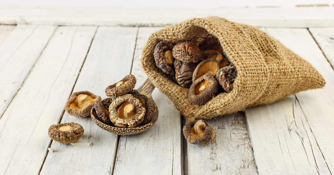Close up of dry shiitake mushrooms on white wood background
